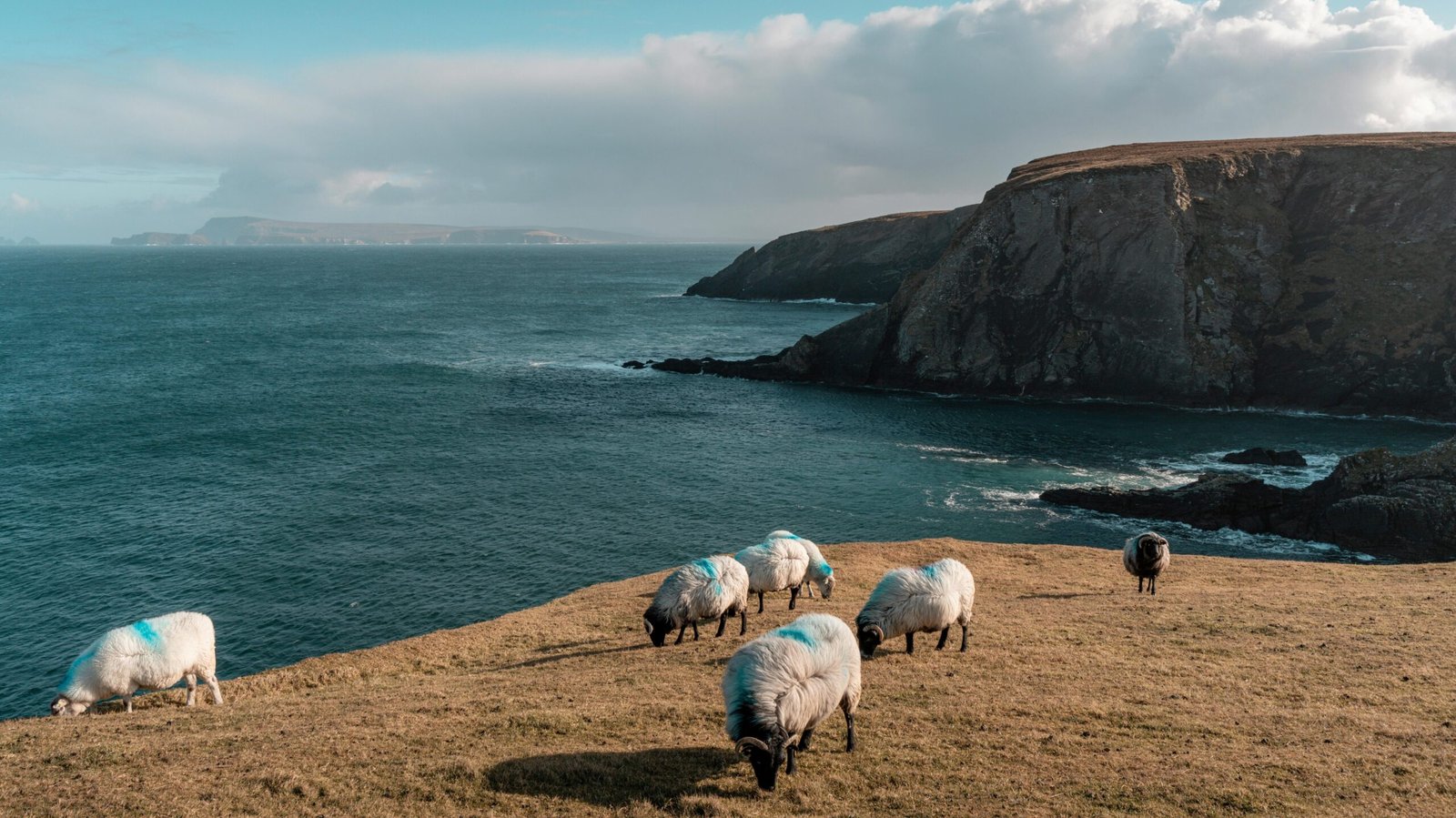 salmo 23 significado oculto