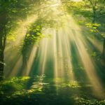 Cor Verde Biblia Capa