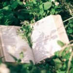 frutos do espirito santo na Biblia: Biblia aberta em meio a vegetacao verde e flores simbolizando crescimento espiritual e vida abundante