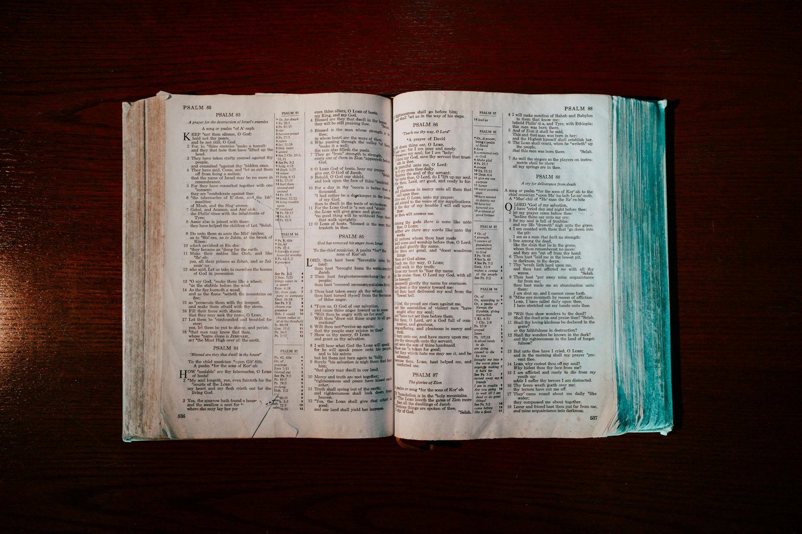 Bíblia aberta com o livro dos Salmos em uma mesa de madeira, vista de cima